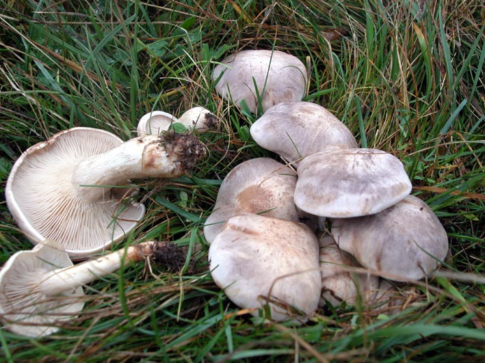 Mattinata sul Pian Piccolo